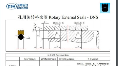 孔用旋转格来圈DNS规格尺寸表