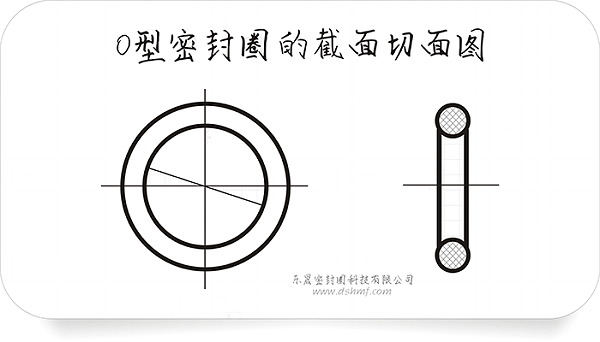 O型密封圈的截面切面图4