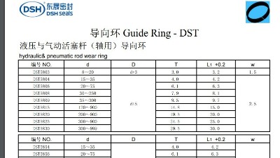 液压与气动活塞杆（轴用）导向环