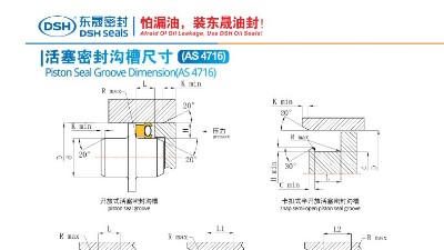 活塞密封沟槽尺寸3