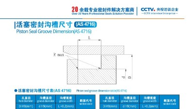 活塞密封沟槽尺寸4