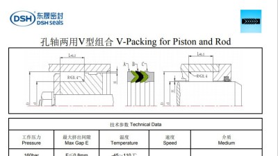 孔轴两用V型组合密封圈Rod规格尺寸表