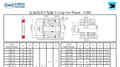 孔轴两用Y型圈USH规格尺寸表