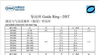 新版导向环DST规格尺寸