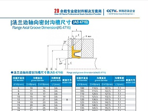 轴向密封沟槽尺寸