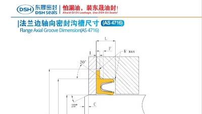 轴向密封沟槽尺寸1