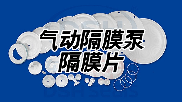 气动隔膜泵隔膜片密封件1东晟