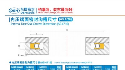 内压端面密封沟槽尺寸