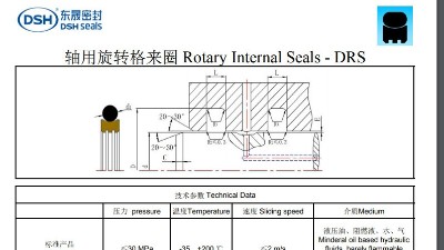 轴用旋转格来圈规格尺寸表DRS