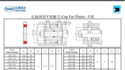 孔轴两用Y型圈USI规格尺寸表