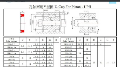 孔轴两用Y型圈UPH