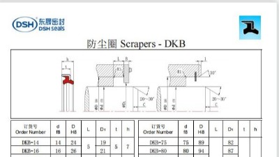 新版防尘圈DKB规格尺寸表