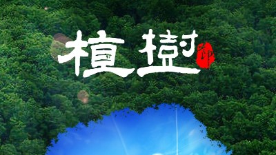 植树节312：多一片绿叶，多一份温馨！