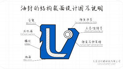 油封的结构截面设计图及说明1