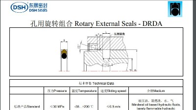 孔用旋转组合密封圈规格尺寸DRDA