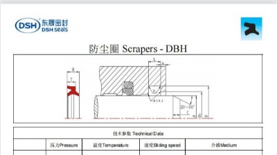 新版防尘圈DBH规格尺寸表