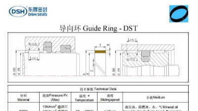 新版导向环DST规格尺寸表