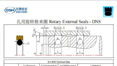 新版孔用旋转格来圈DNS规格尺寸表