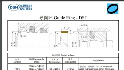 DST导向环规格尺寸表