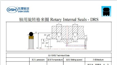 新版轴用旋转格来圈DRS规格尺寸表