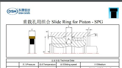 重载组合密封圈规格尺寸表SPG