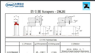 防尘圈DKBI规格尺寸表