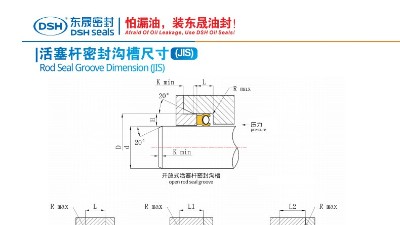 活塞杆密封沟槽尺寸1