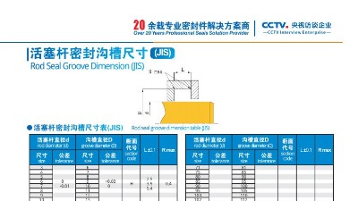 活塞杆密封沟槽尺寸2