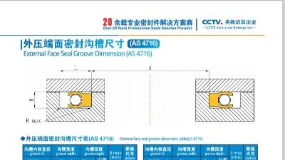 外压端面密封沟槽尺寸