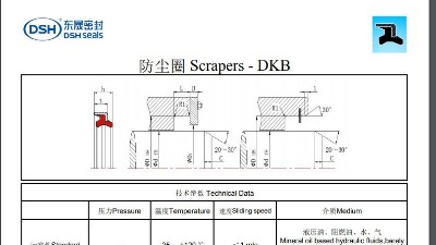 防尘圈DKB规格尺寸表