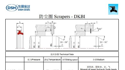 新版防尘圈DKBI规格尺寸表