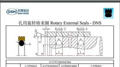 东晟密封孔用旋转格莱圈摩擦系数低耐磨性好