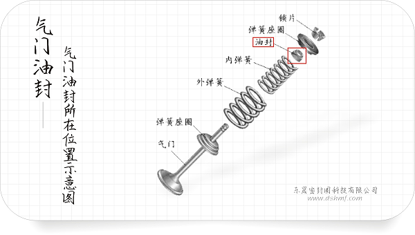 气门油封所在位置示意图3